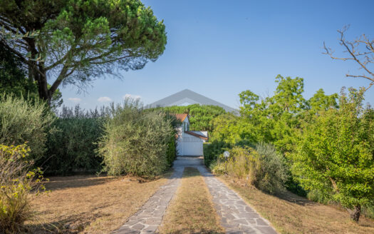 VILLA SINGOLA in Vendita a CRESPINA