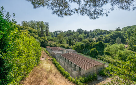 VILLA SINGOLA in Vendita a CRESPINA