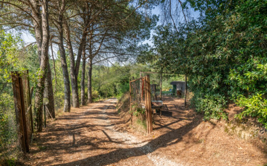 VILLA SINGOLA in Vendita a CRESPINA