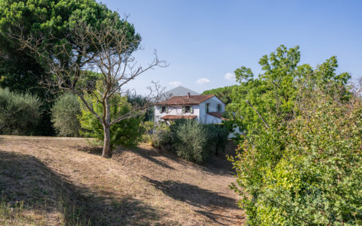 VILLA SINGOLA in Vendita a CRESPINA
