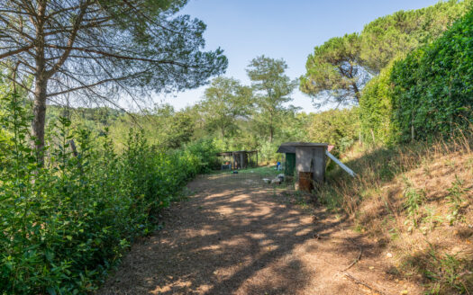 VILLA SINGOLA in Vendita a CRESPINA