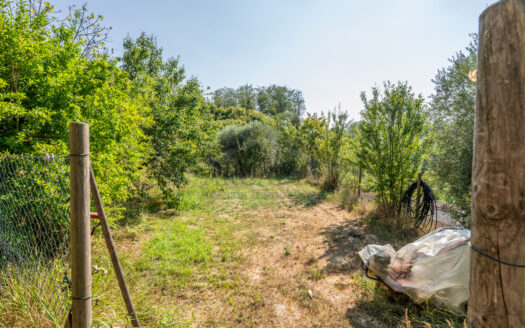 VILLA SINGOLA in Vendita a CRESPINA