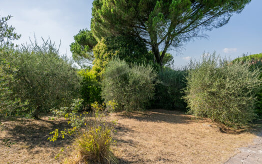 VILLA SINGOLA in Vendita a CRESPINA