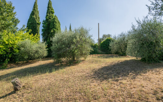 VILLA SINGOLA in Vendita a CRESPINA