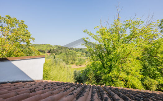 VILLA SINGOLA in Vendita a CRESPINA